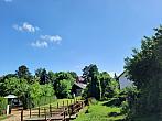 Olešná