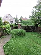 Třibřichy