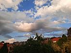 Olešná