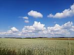 Hostákov
