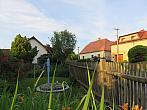 Třibřichy
