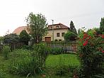 Třibřichy