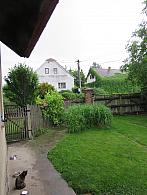 Třibřichy
