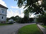 Třibřichy