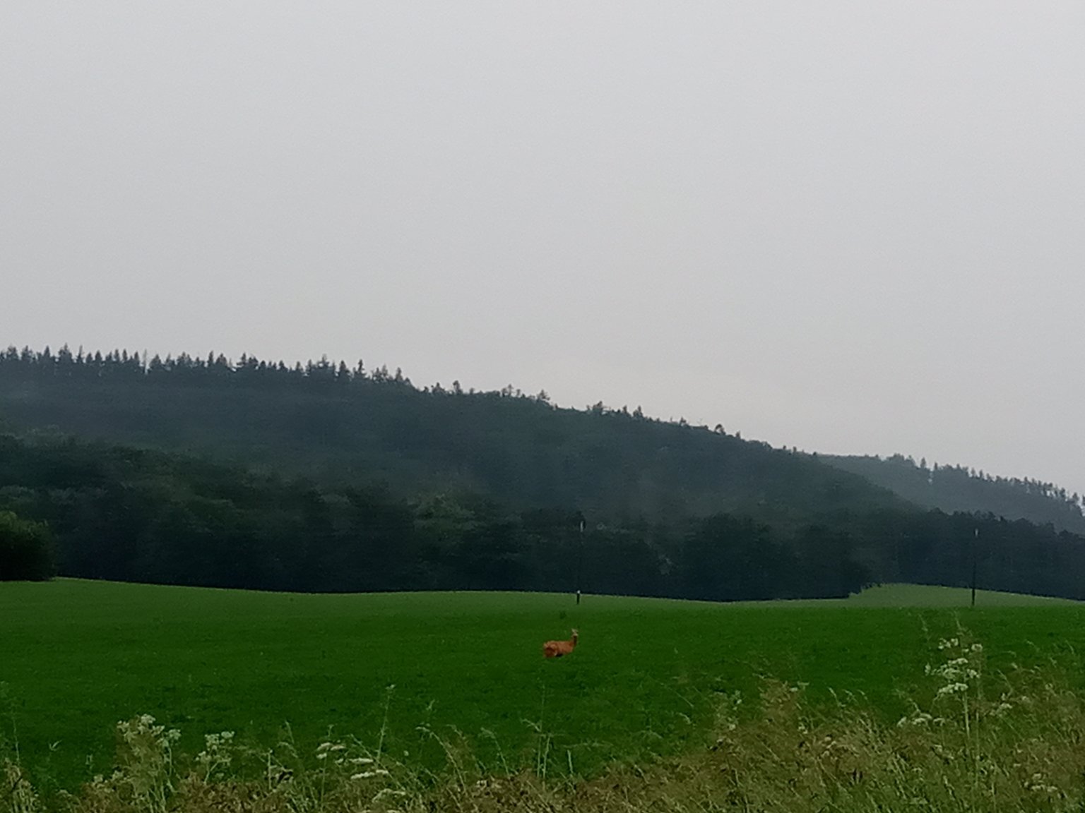 Lukovany