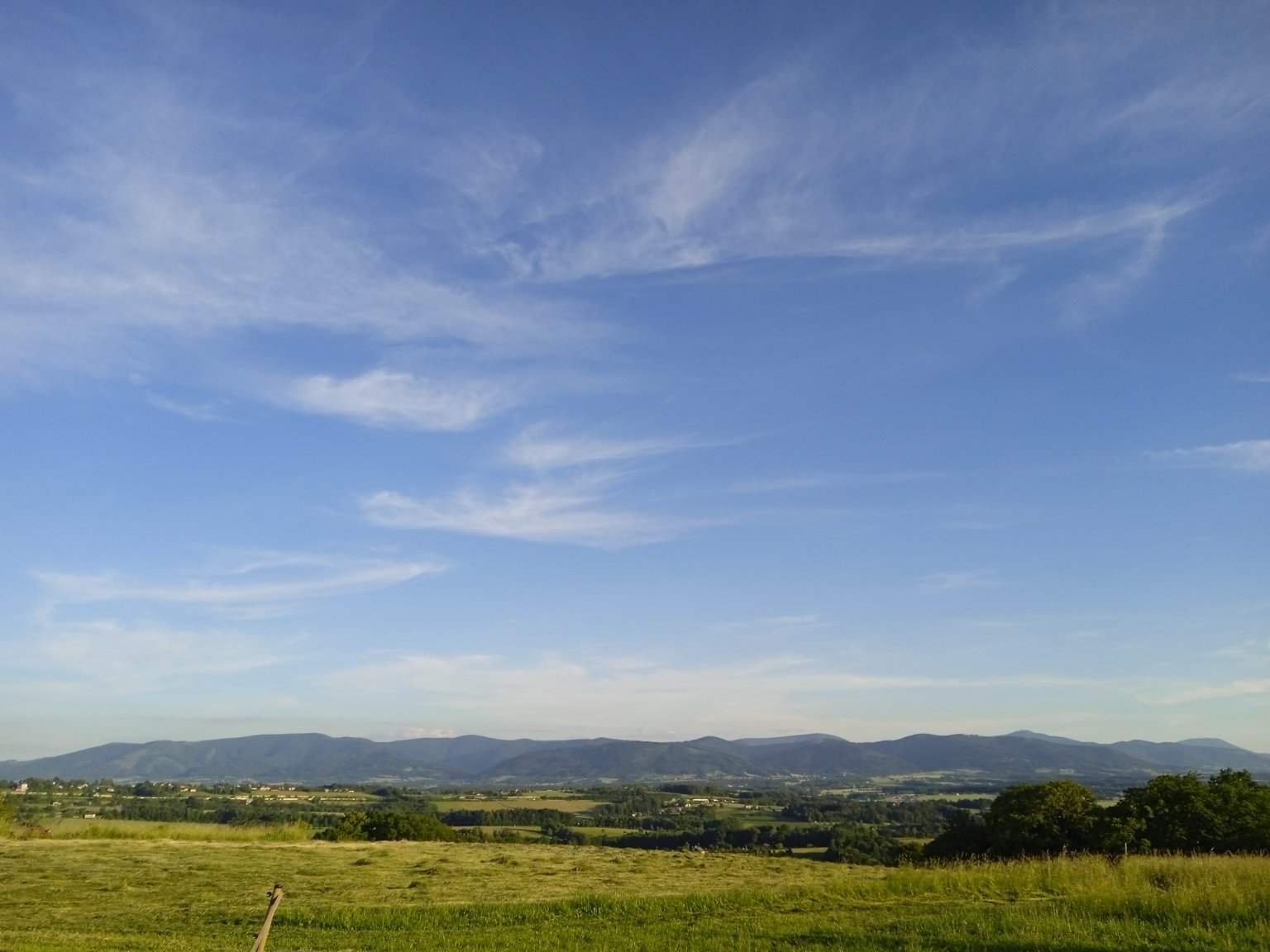 Koňákov