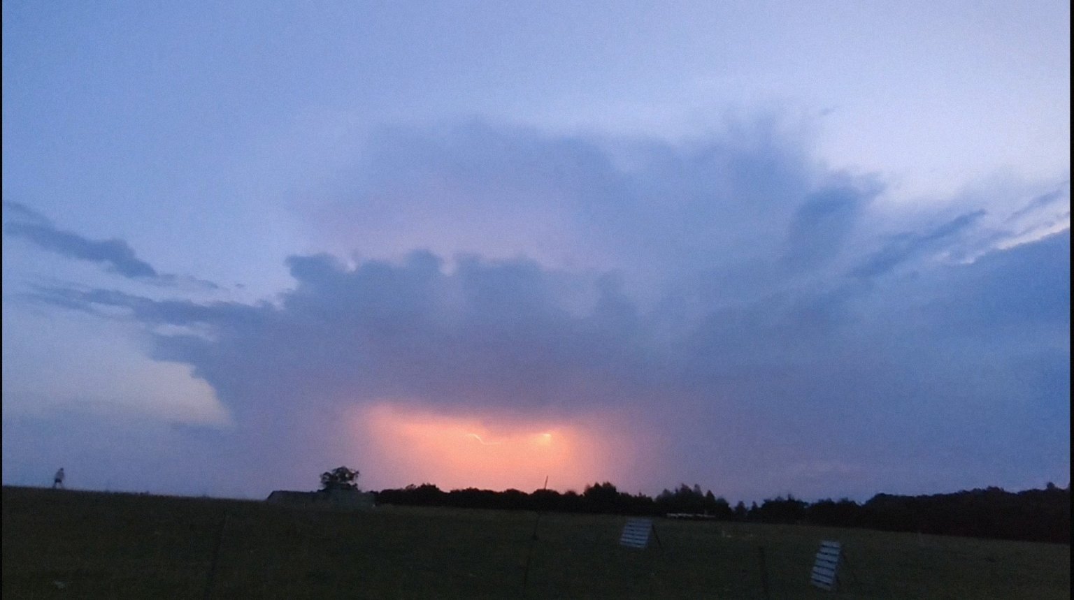 Rybí