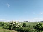 Lukovany