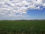 Hostákov