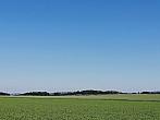 Hostákov