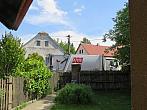 Třibřichy