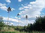Lukovany