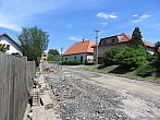Třibřichy