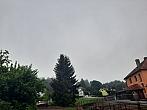 Olešná