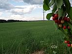 Lukovany