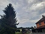 Olešná