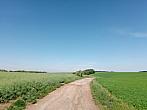Lukovany