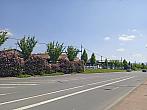 Český Těšín