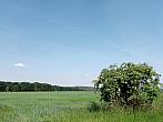 Lukovany