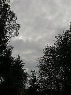 Skalité