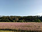 Lukovany