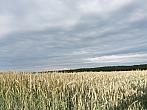 Lukovany