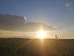 Hostákov