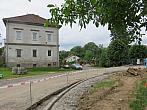 Třibřichy