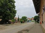Třibřichy