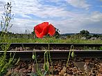 Třebíč-Borovina