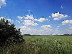 Hostákov