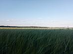 Lukovany