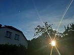 Olešná
