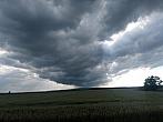 Hatě