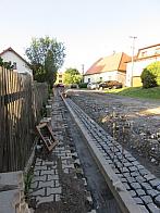 Třibřichy