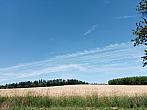 Lukovany
