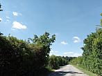 Lukovany