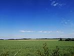 Hostákov