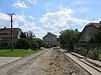 Třibřichy