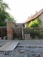 Třibřichy