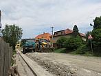 Třibřichy