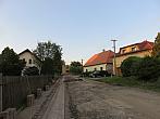 Třibřichy