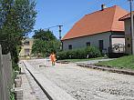 Třibřichy