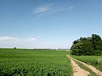 Lukovany