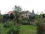 Třibřichy