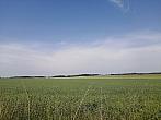 Hostákov