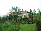 Třibřichy