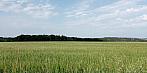 Lukovany