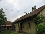Třibřichy
