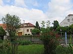 Třibřichy